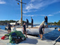 /album/gotland-runt-2025/20250701-175811-jpg/